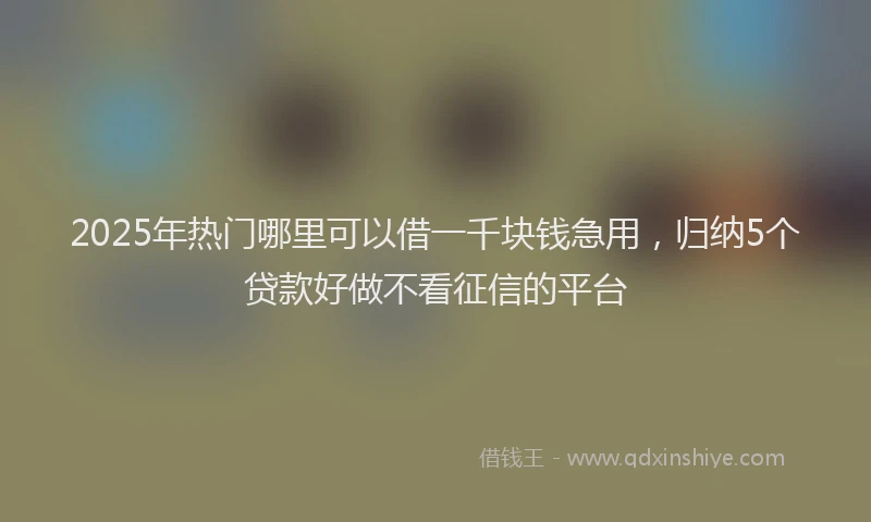 2025年热门哪里可以借一千块钱急用，归纳5个贷款好做不看征信的平台