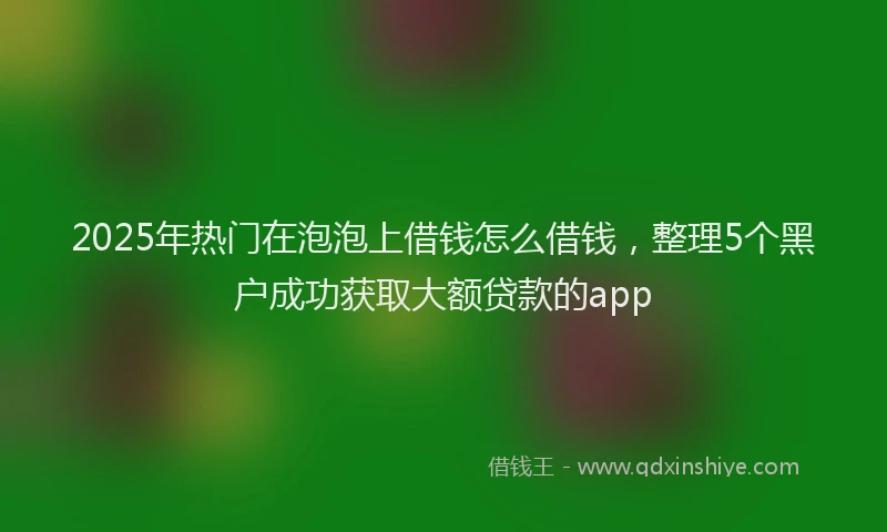 2025年热门在泡泡上借钱怎么借钱，整理5个黑户成功获取大额贷款的app