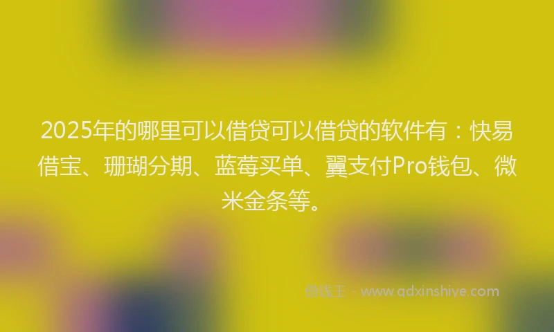 2025年的哪里可以借贷可以借贷的软件有：快易借宝、珊瑚分期、蓝莓买单、翼支付Pro钱包、微米金条等。