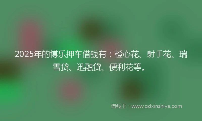 2025年的博乐押车借钱有：橙心花、射手花、瑞雪贷、迅融贷、便利花等。
