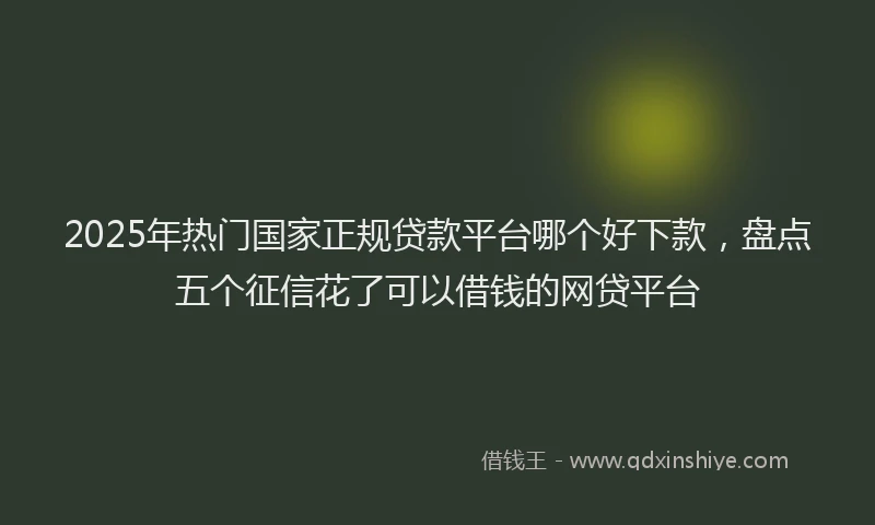 2025年热门国家正规贷款平台哪个好下款，盘点五个征信花了可以借钱的网贷平台