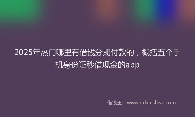 2025年热门哪里有借钱分期付款的，概括五个手机身份证秒借现金的app