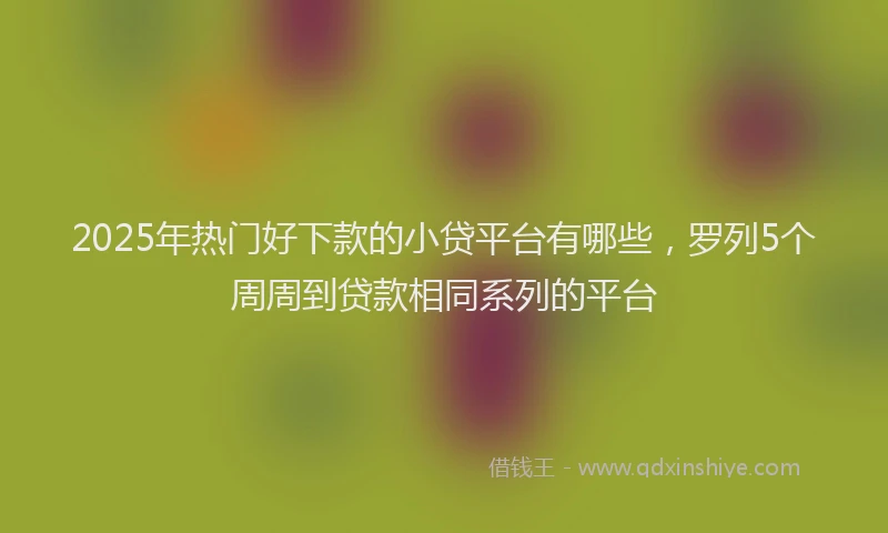 2025年热门好下款的小贷平台有哪些，罗列5个周周到贷款相同系列的平台
