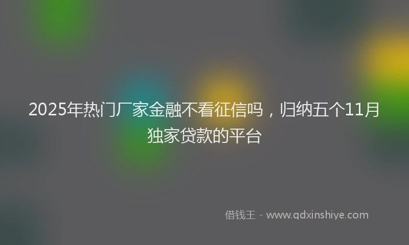 2025年热门厂家金融不看征信吗，归纳五个11月独家贷款的平台