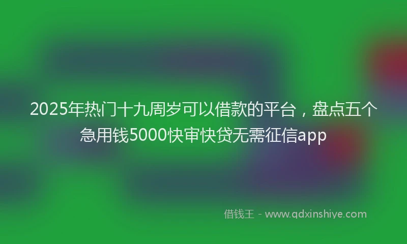2025年热门十九周岁可以借款的平台，盘点五个急用钱5000快审快贷无需征信app