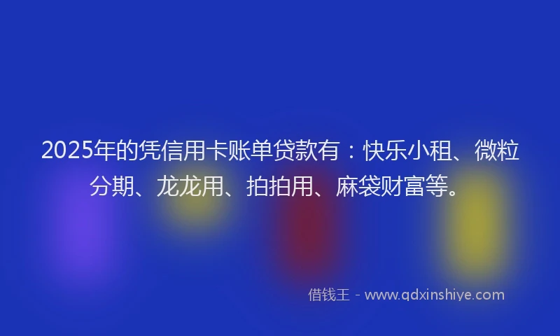 2025年的凭信用卡账单贷款有：快乐小租、微粒分期、龙龙用、拍拍用、麻袋财富等。