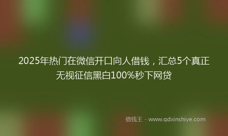2025年热门在微信开口向人借钱，汇总5个真正无视征信黑白100%秒下网贷