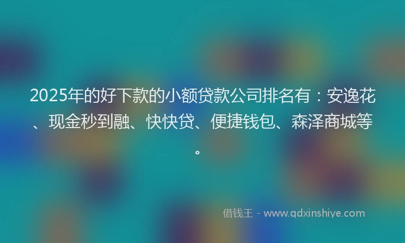 2025年的好下款的小额贷款公司排名有：安逸花、现金秒到融、快快贷、便捷钱包、森泽商城等。