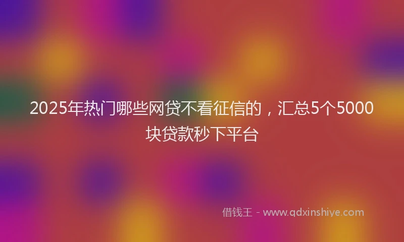 2025年热门哪些网贷不看征信的，汇总5个5000块贷款秒下平台
