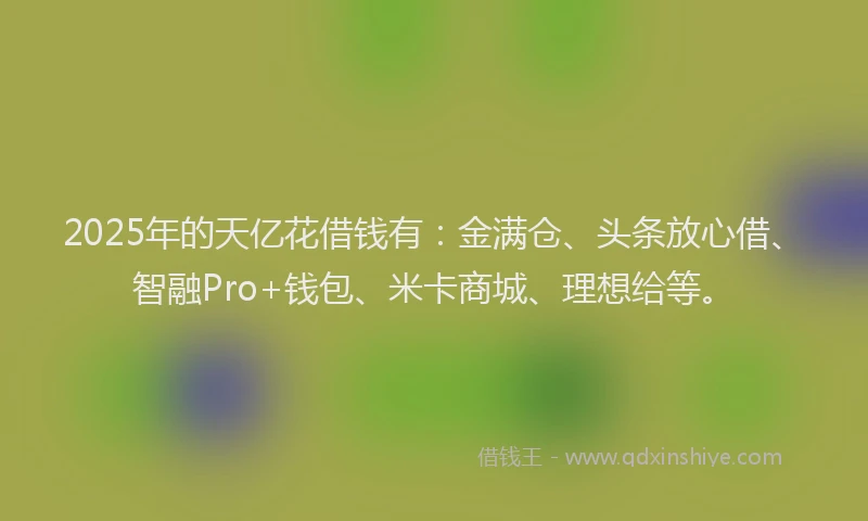 2025年的天亿花借钱有：金满仓、头条放心借、智融Pro+钱包、米卡商城、理想给等。