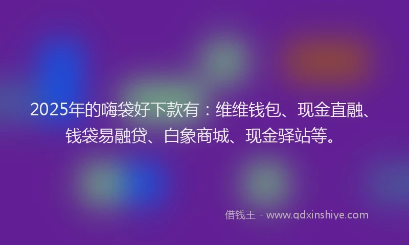 2025年的嗨袋好下款有：维维钱包、现金直融、钱袋易融贷、白象商城、现金驿站等。