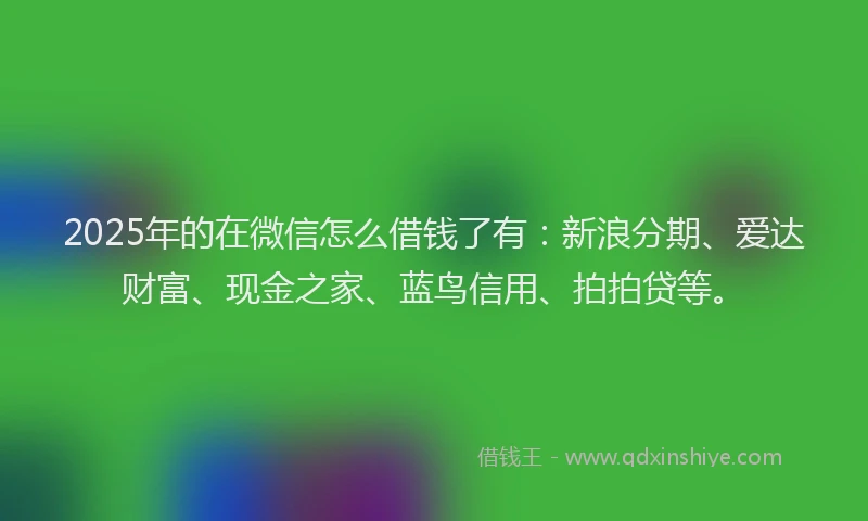 2025年的在微信怎么借钱了有：新浪分期、爱达财富、现金之家、蓝鸟信用、拍拍贷等。