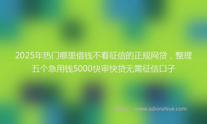 2025年热门哪里借钱不看征信的正规网贷，整理五个急用钱5000快审快贷无需征信口子