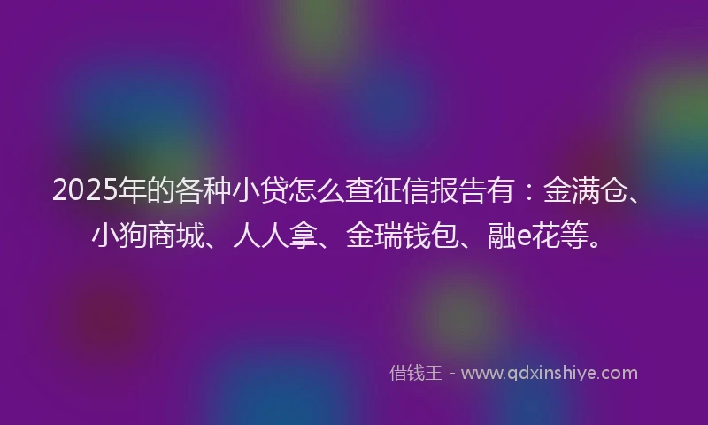 2025年的各种小贷怎么查征信报告有：金满仓、小狗商城、人人拿、金瑞钱包、融e花等。