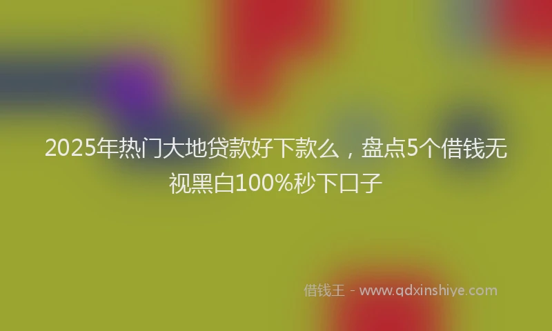 2025年热门大地贷款好下款么，盘点5个借钱无视黑白100%秒下口子