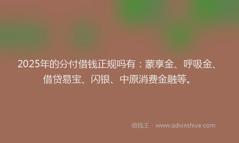 2025年的分付借钱正规吗有：蒙享金、呼吸金、借贷易宝、闪银、中原消费金融等。