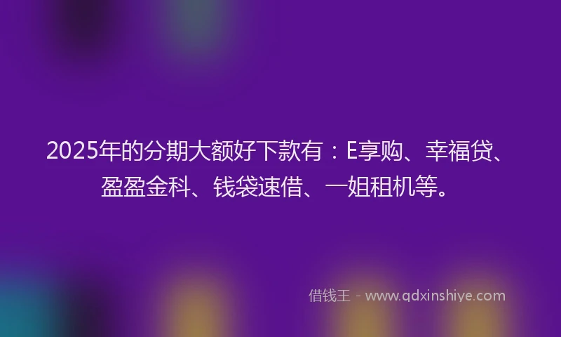 2025年的分期大额好下款有：E享购、幸福贷、盈盈金科、钱袋速借、一姐租机等。
