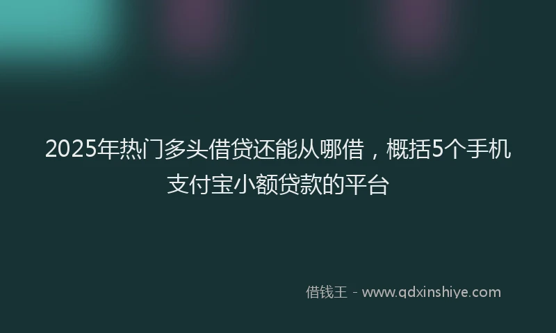 2025年热门多头借贷还能从哪借，概括5个手机支付宝小额贷款的平台
