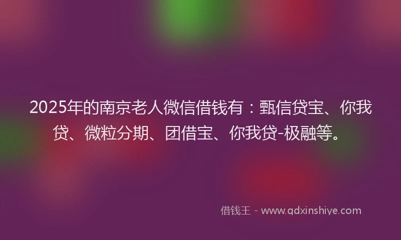 2025年的南京老人微信借钱有：甄信贷宝、你我贷、微粒分期、团借宝、你我贷-极融等。