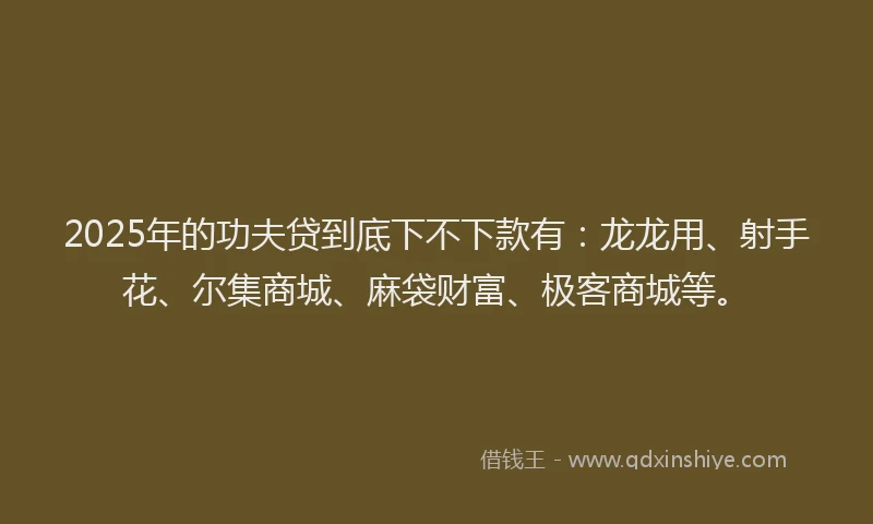 2025年的功夫贷到底下不下款有：龙龙用、射手花、尔集商城、麻袋财富、极客商城等。