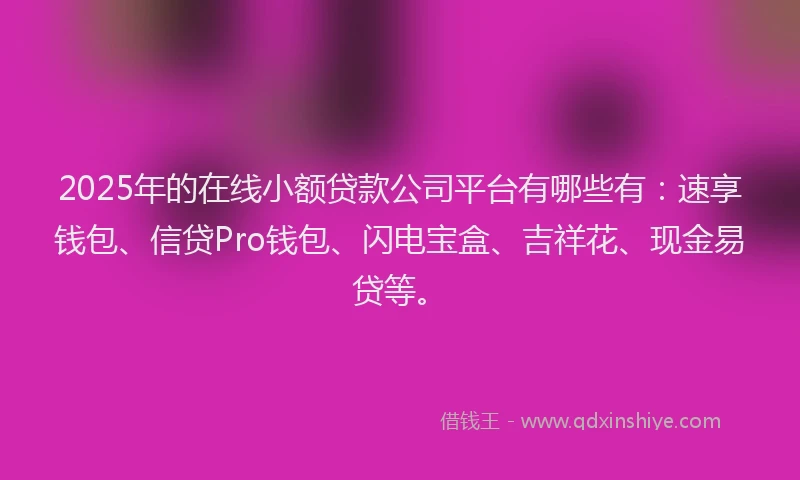 2025年的在线小额贷款公司平台有哪些有：速享钱包、信贷Pro钱包、闪电宝盒、吉祥花、现金易贷等。