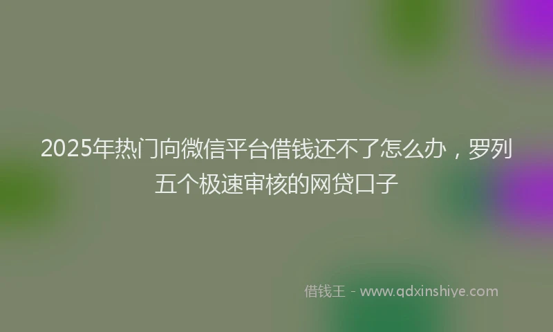 2025年热门向微信平台借钱还不了怎么办，罗列五个极速审核的网贷口子