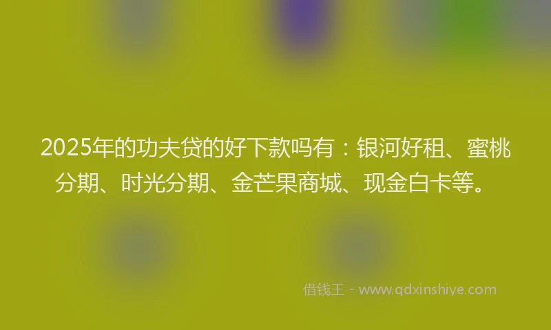 2025年的功夫贷的好下款吗有：银河好租、蜜桃分期、时光分期、金芒果商城、现金白卡等。