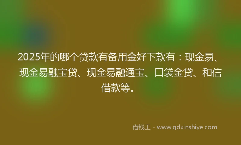 2025年的哪个贷款有备用金好下款有：现金易、现金易融宝贷、现金易融通宝、口袋金贷、和信借款等。