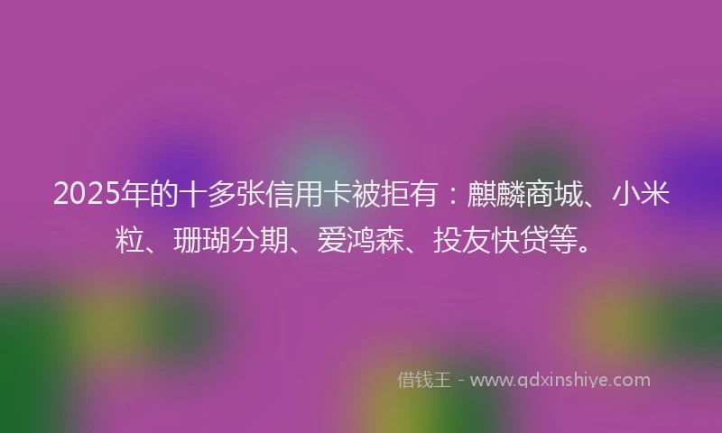 2025年的十多张信用卡被拒有：麒麟商城、小米粒、珊瑚分期、爱鸿森、投友快贷等。