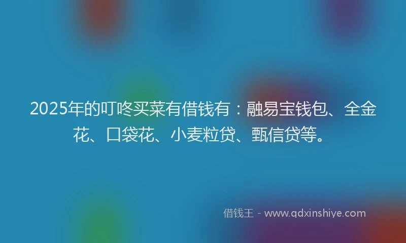 2025年的叮咚买菜有借钱有：融易宝钱包、全金花、口袋花、小麦粒贷、甄信贷等。