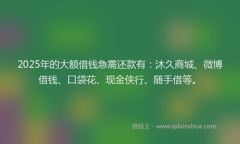2025年的大额借钱急需还款有：沐久商城、微博借钱、口袋花、现金侠行、随手借等。