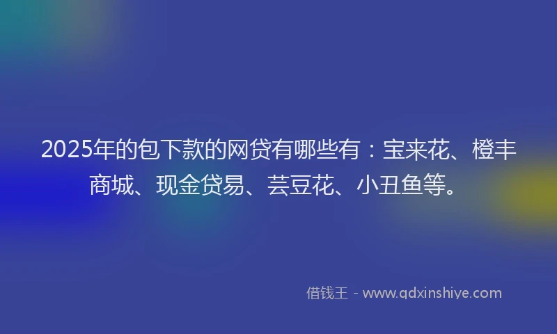 2025年的包下款的网贷有哪些有：宝来花、橙丰商城、现金贷易、芸豆花、小丑鱼等。