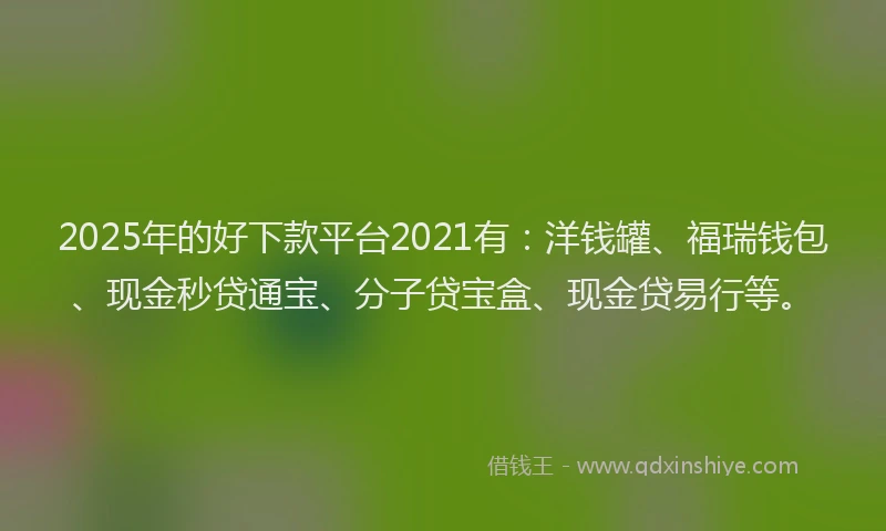2025年的好下款平台2021有：洋钱罐、福瑞钱包、现金秒贷通宝、分子贷宝盒、现金贷易行等。