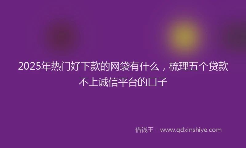 2025年热门好下款的网袋有什么，梳理五个贷款不上诚信平台的口子