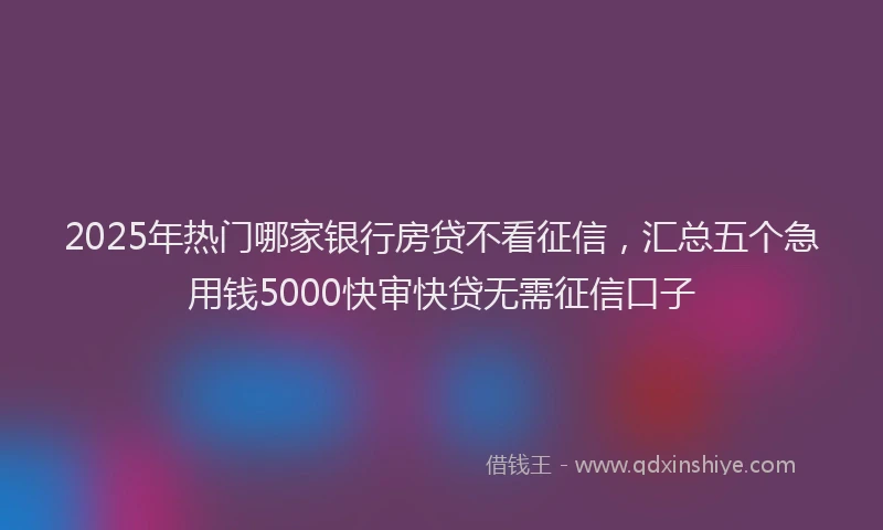 2025年热门哪家银行房贷不看征信，汇总五个急用钱5000快审快贷无需征信口子