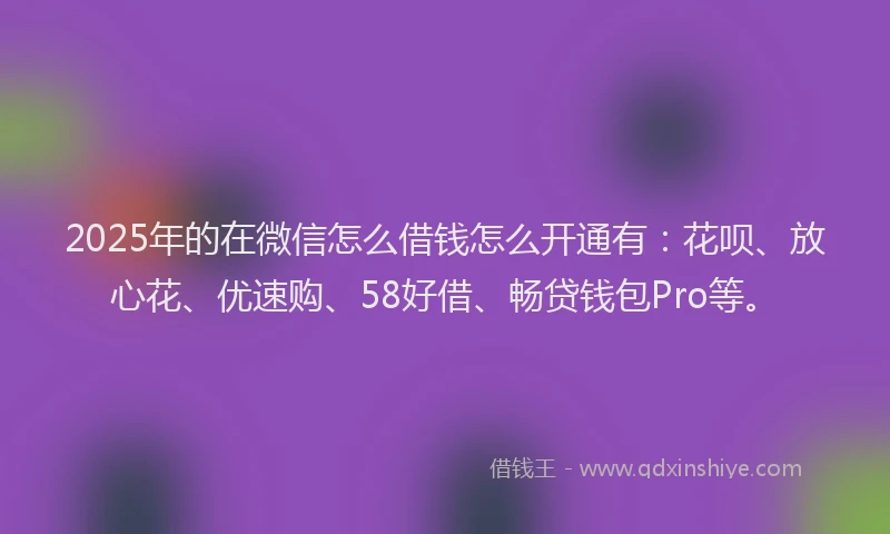 2025年的在微信怎么借钱怎么开通有：花呗、放心花、优速购、58好借、畅贷钱包Pro等。