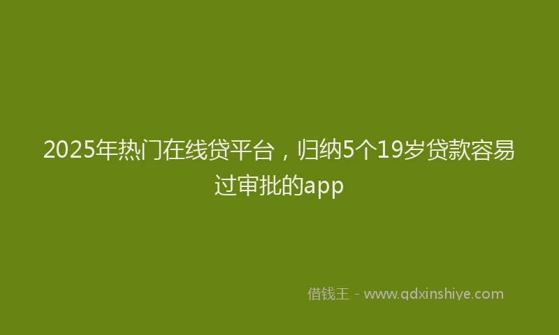 2025年热门在线贷平台，归纳5个19岁贷款容易过审批的app