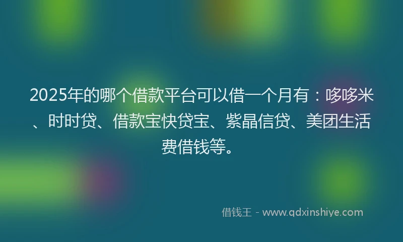 2025年的哪个借款平台可以借一个月有：哆哆米、时时贷、借款宝快贷宝、紫晶信贷、美团生活费借钱等。