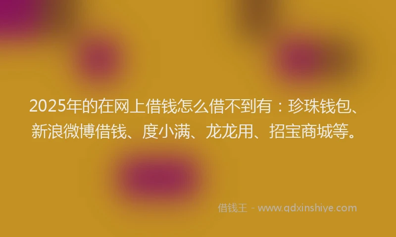 2025年的在网上借钱怎么借不到有：珍珠钱包、新浪微博借钱、度小满、龙龙用、招宝商城等。