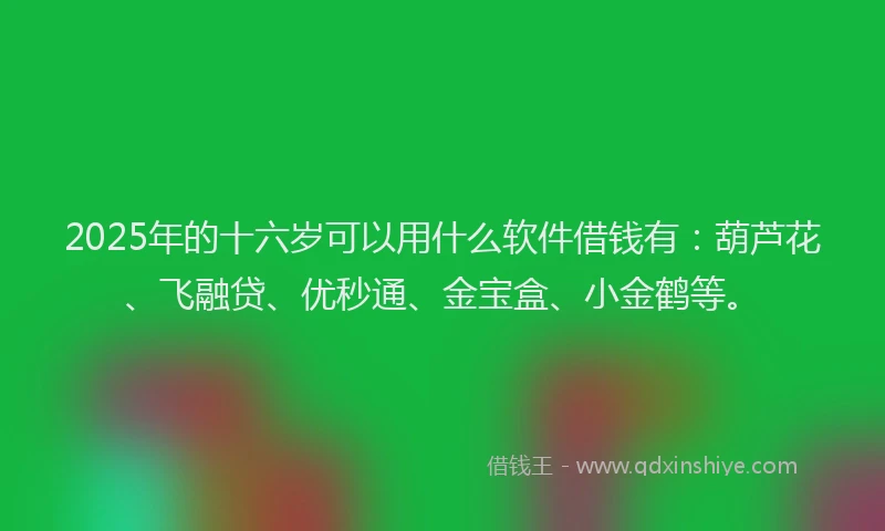 2025年的十六岁可以用什么软件借钱有：葫芦花、飞融贷、优秒通、金宝盒、小金鹤等。