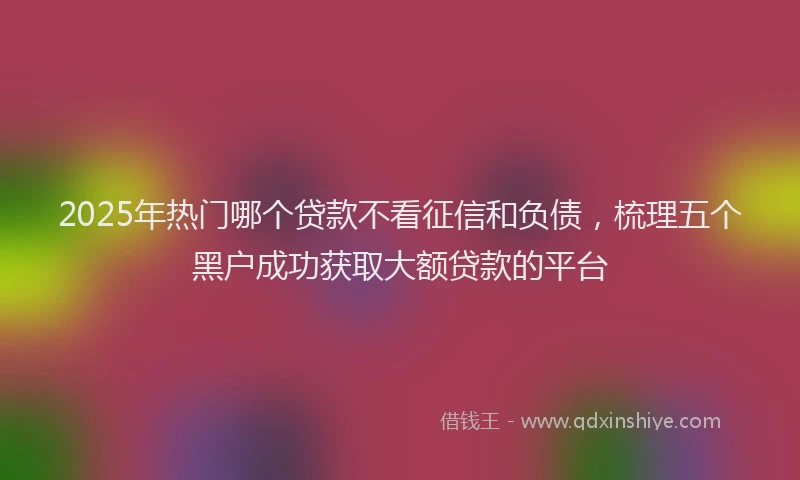 2025年热门哪个贷款不看征信和负债，梳理五个黑户成功获取大额贷款的平台