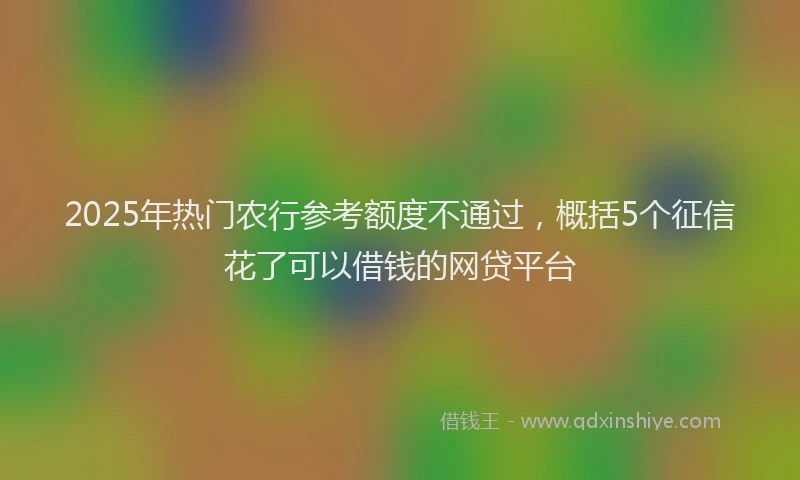 2025年热门农行参考额度不通过，概括5个征信花了可以借钱的网贷平台