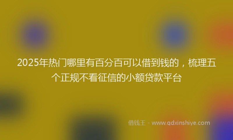2025年热门哪里有百分百可以借到钱的，梳理五个正规不看征信的小额贷款平台