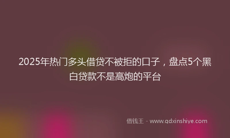 2025年热门多头借贷不被拒的口子，盘点5个黑白贷款不是高炮的平台