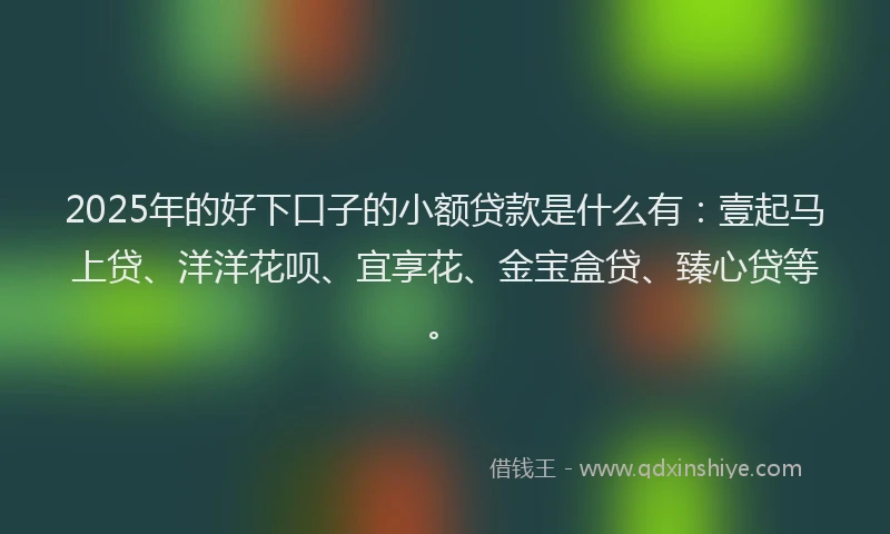 2025年的好下口子的小额贷款是什么有：壹起马上贷、洋洋花呗、宜享花、金宝盒贷、臻心贷等。