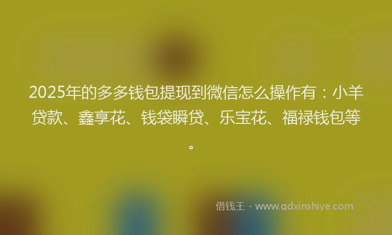 2025年的多多钱包提现到微信怎么操作有：小羊贷款、鑫享花、钱袋瞬贷、乐宝花、福禄钱包等。