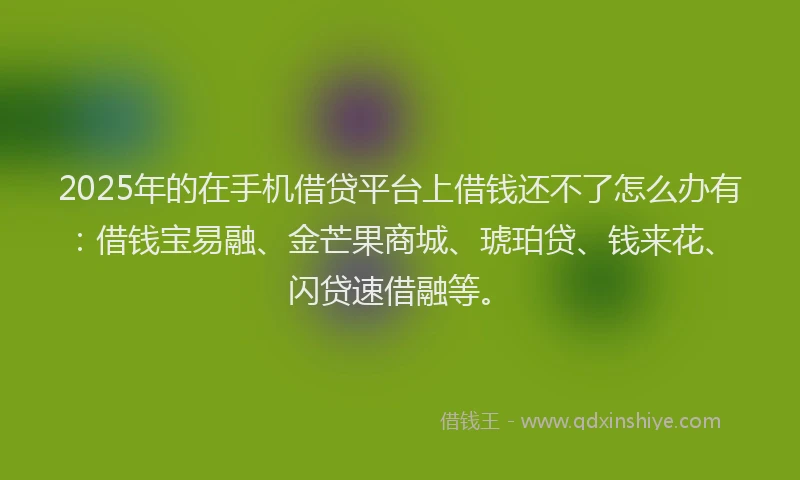 2025年的在手机借贷平台上借钱还不了怎么办有：借钱宝易融、金芒果商城、琥珀贷、钱来花、闪贷速借融等。