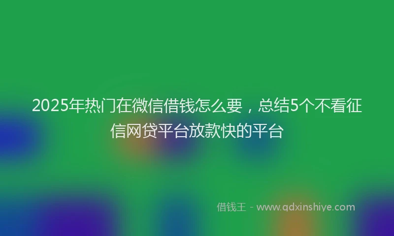 2025年热门在微信借钱怎么要，总结5个不看征信网贷平台放款快的平台
