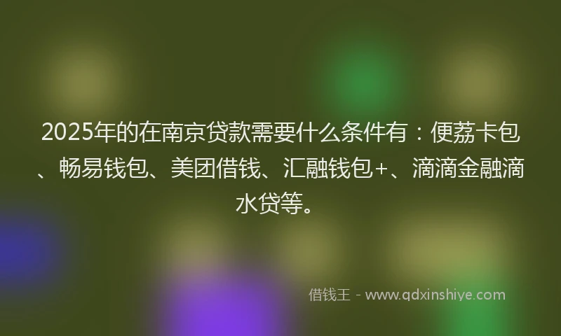 2025年的在南京贷款需要什么条件有：便荔卡包、畅易钱包、美团借钱、汇融钱包+、滴滴金融滴水贷等。