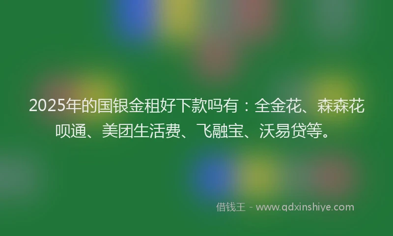 2025年的国银金租好下款吗有：全金花、森森花呗通、美团生活费、飞融宝、沃易贷等。